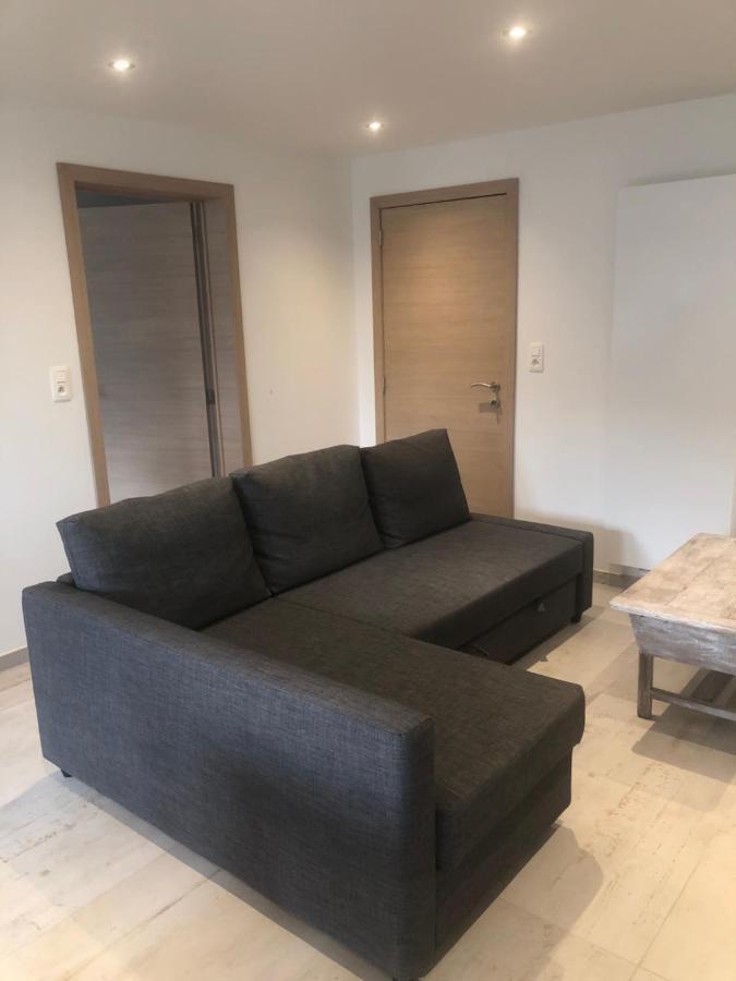Pegasus I - 2 Chambres De Luxe, Cuisine, Salon, 2 Terrasses Et Sauna Vielsalm Kültér fotó